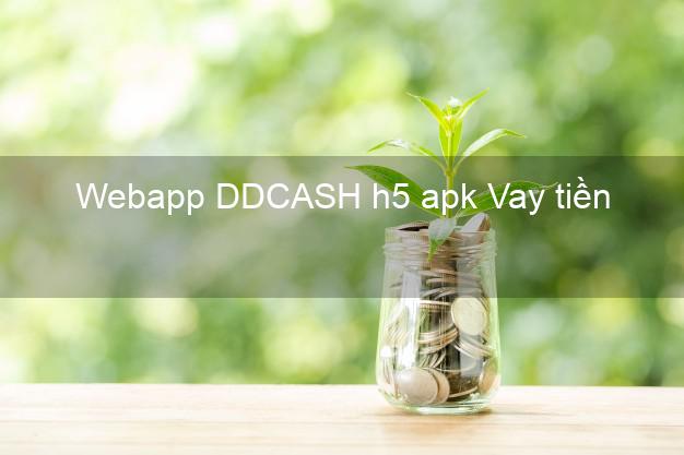Webapp DDCASH h5 apk Vay tiền
